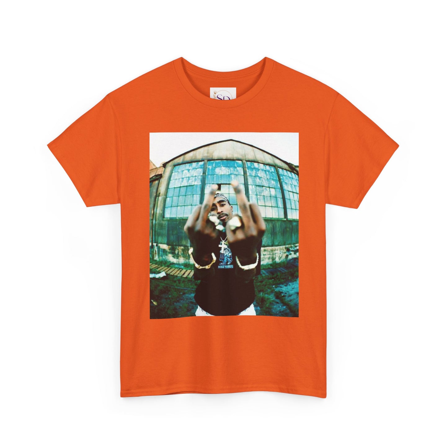 Urban Vibes Unisex Heavy Cotton Tee