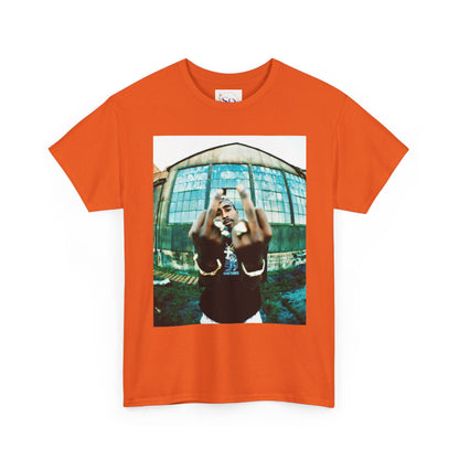 Urban Vibes Unisex Heavy Cotton Tee