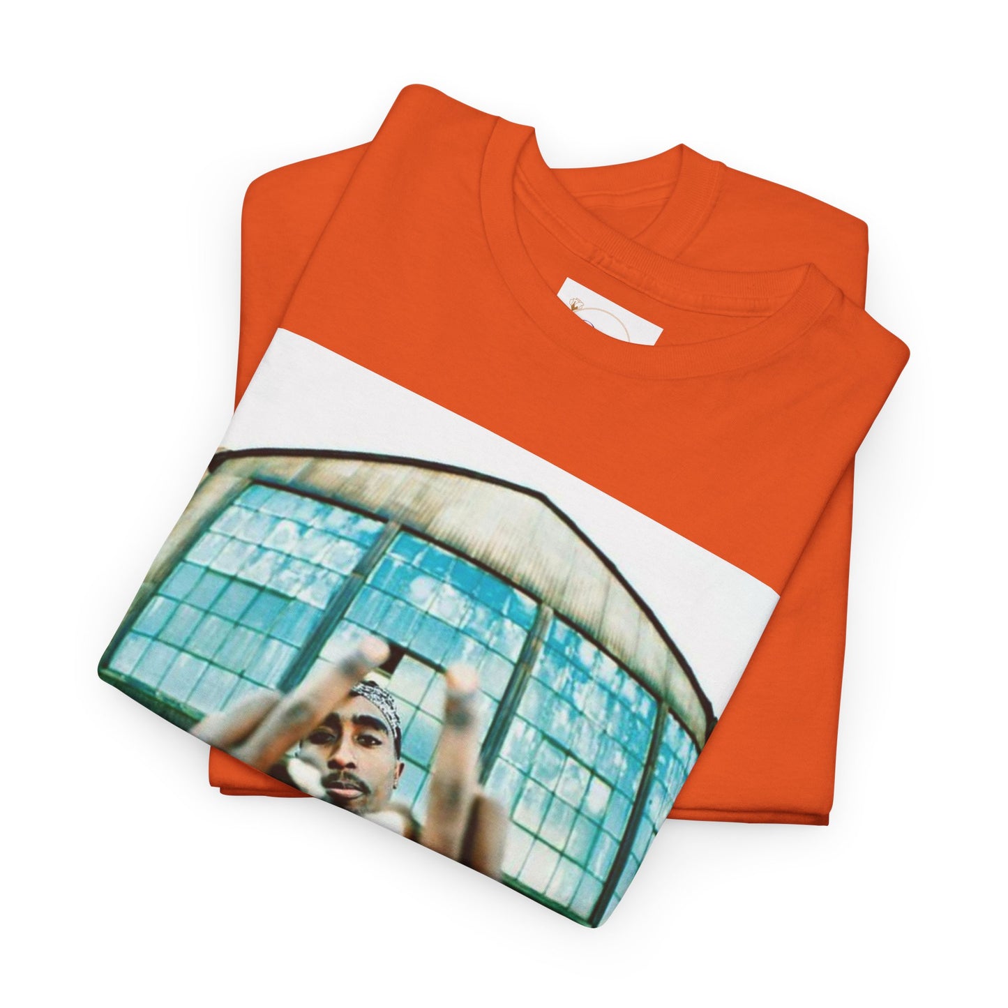 Urban Vibes Unisex Heavy Cotton Tee