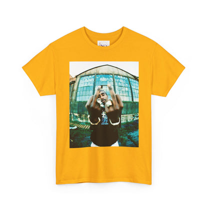 Urban Vibes Unisex Heavy Cotton Tee