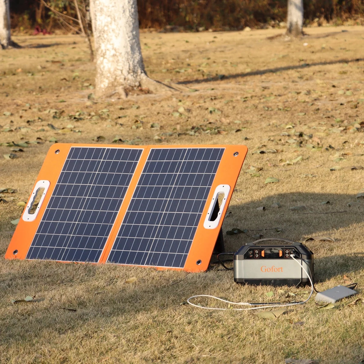 Portable Power Station 330W, 299Wh Charging Station for Home Backup, Outdoor, Emergency Use