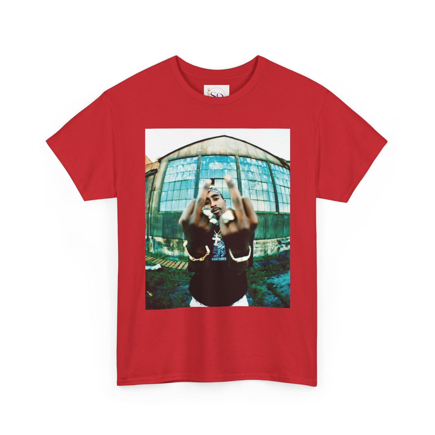 Urban Vibes Unisex Heavy Cotton Tee